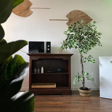 Balille Апартаменты *