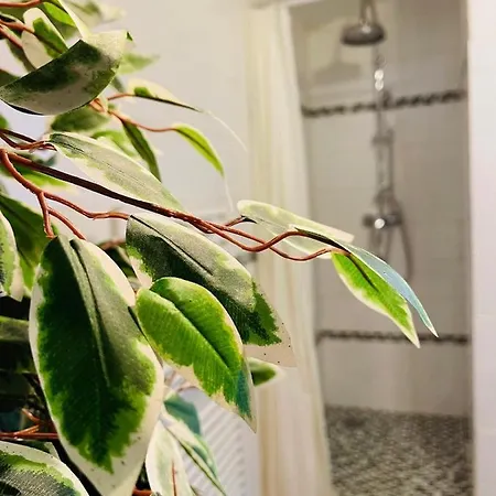 Balille Apartament