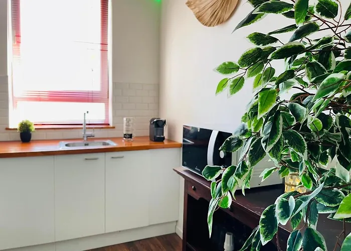 Appartement Balille *