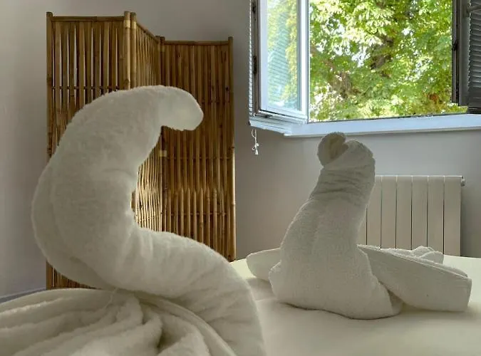 Appartement Balille Lille