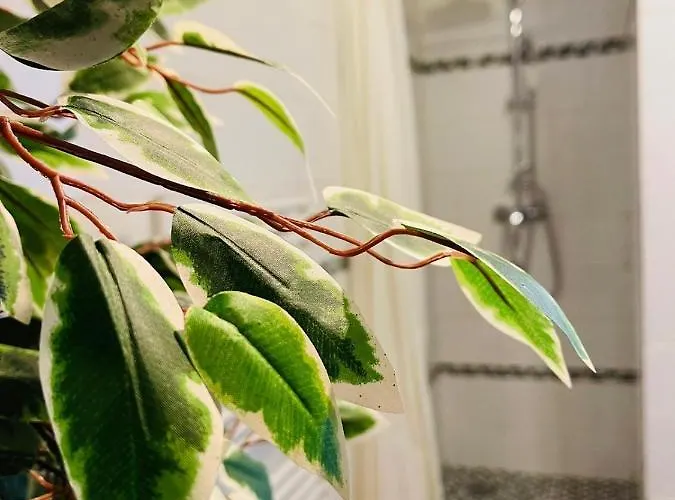 Balille 아파트